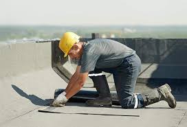 Best Roof Maintenance and Cleaning  in Poseyville, IN